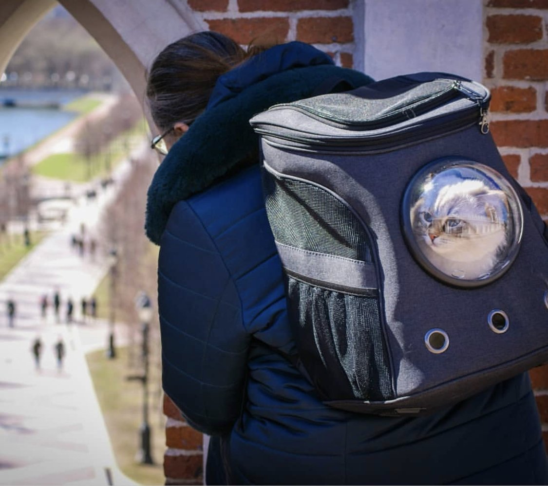 Hiking Travelling Cat Backpack For Large Cats - Image 12