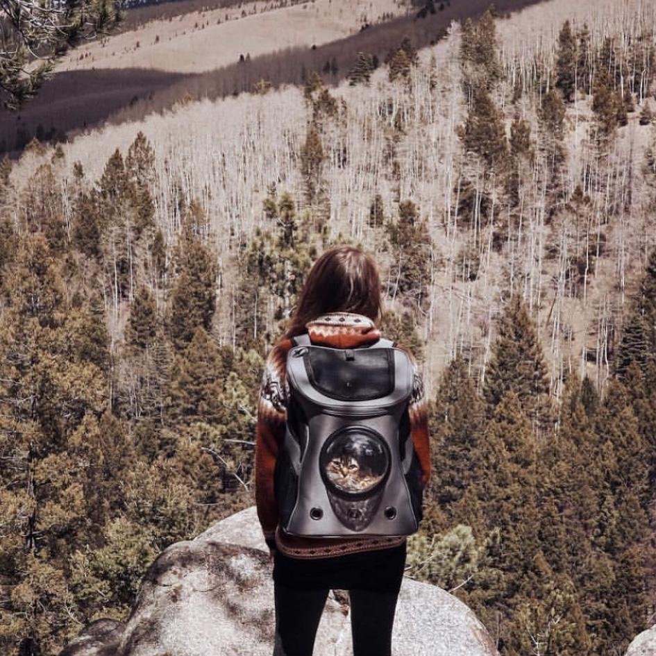 Hiking Travelling Cat Backpack For Large Cats - Image 13