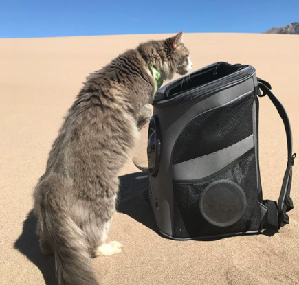 Hiking Travelling Cat Backpack For Large Cats - Image 29