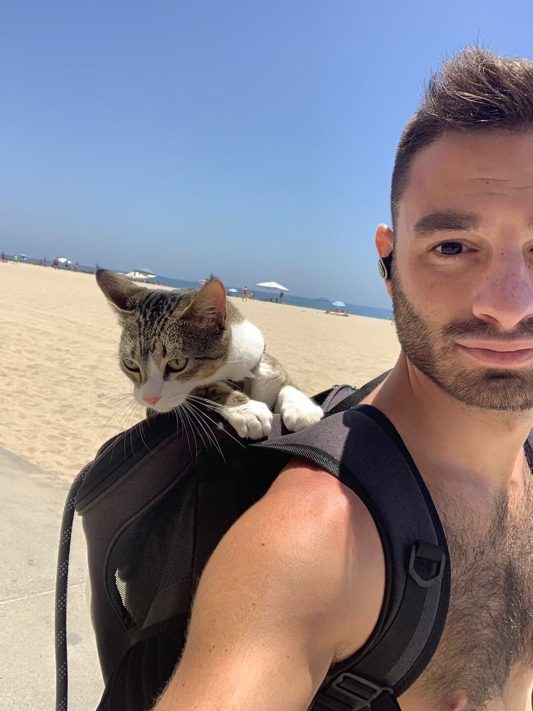 Hiking Travelling Cat Backpack For Large Cats - Image 9