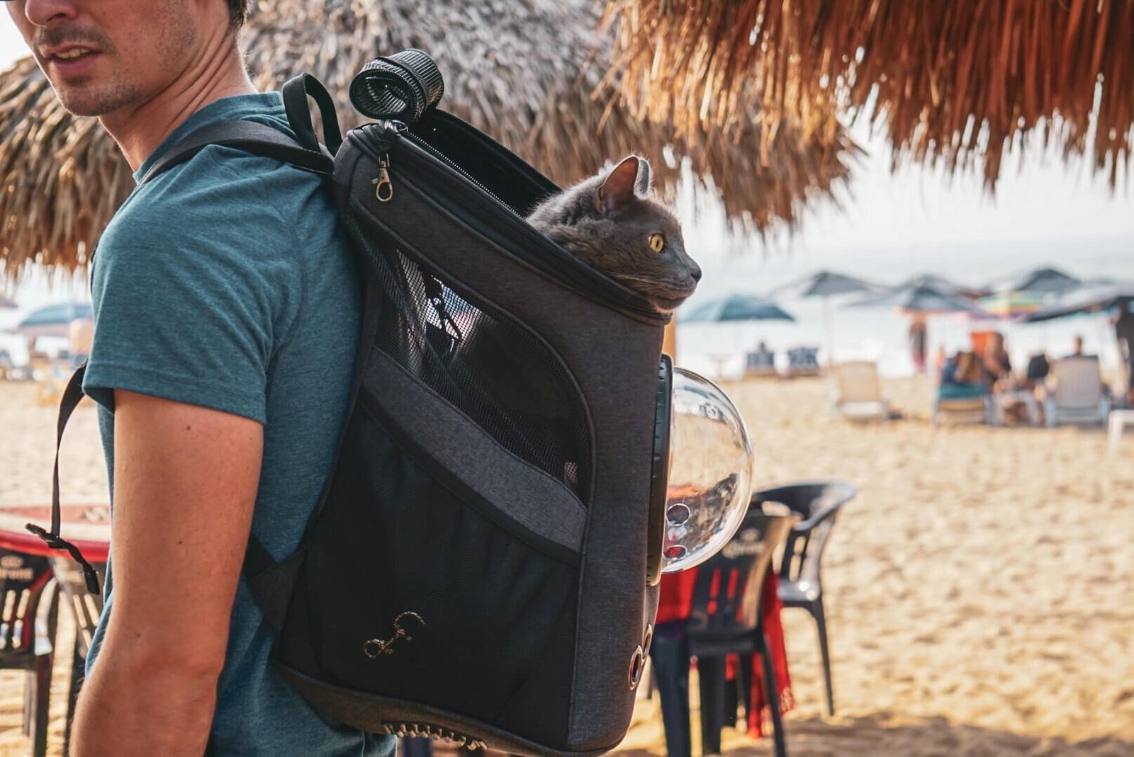 Hiking Travelling Cat Backpack For Large Cats - Image 5