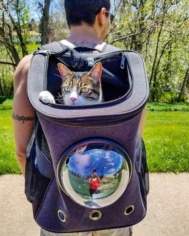 Hiking Travelling Cat Backpack For Large Cats - Image 10