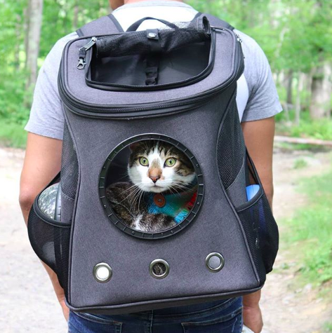 Hiking Travelling Cat Backpack For Large Cats - Image 15