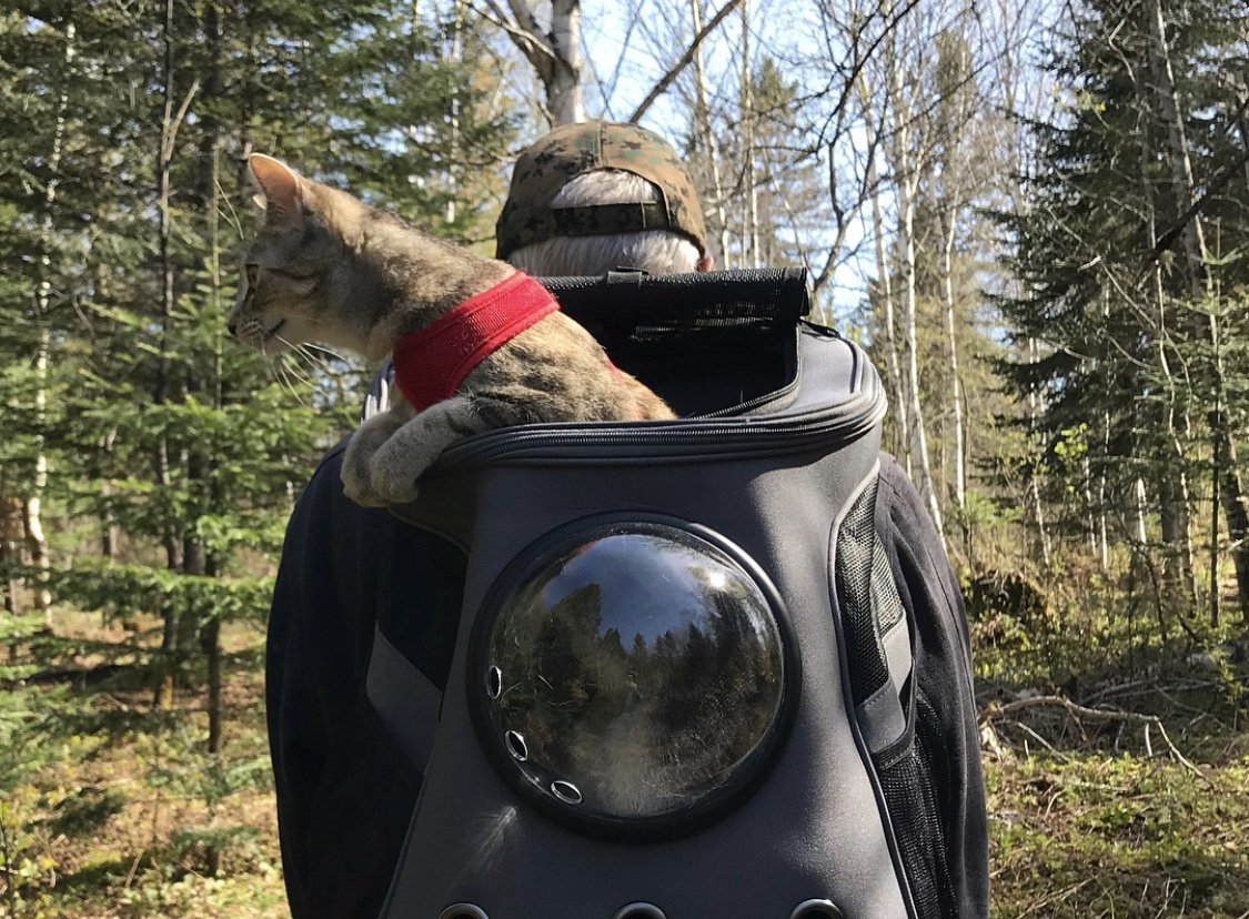 Hiking Travelling Cat Backpack For Large Cats - Image 20